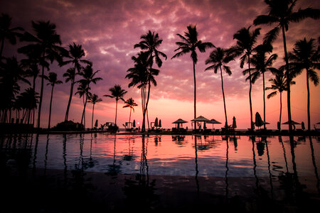 Sunset with Palm Trees and Umbrellas photo