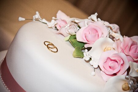 Roses white pink