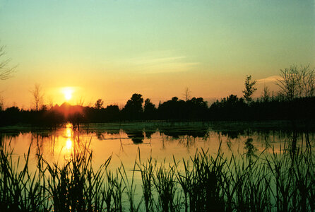 Sunset at Iroquois National Wildlife Refuge photo