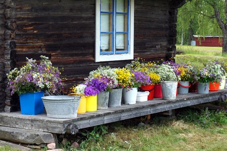Backyard beautiful photo bucket