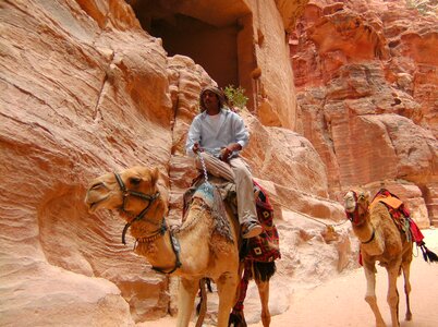 Petra jordan camel photo