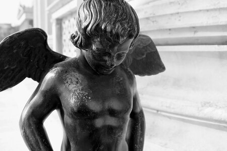 Vienna architecture gray angel photo