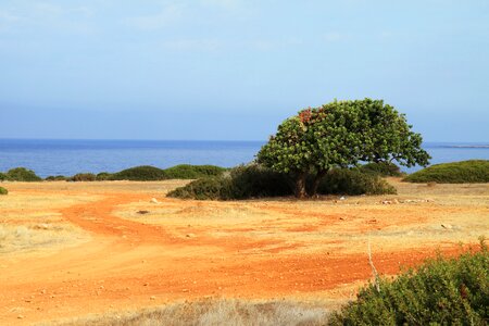 Landscape lonely nature photo