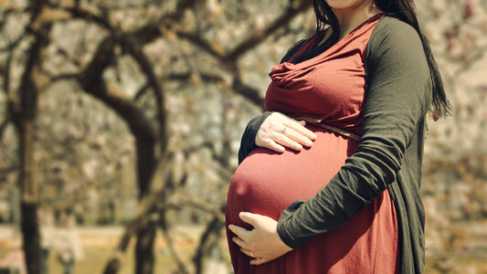 Pregnant Woman Walks Alone photo