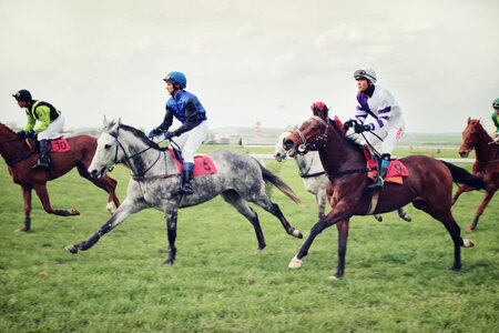 Horse Racing photo