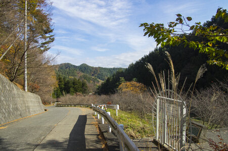 25 Mitsutoge