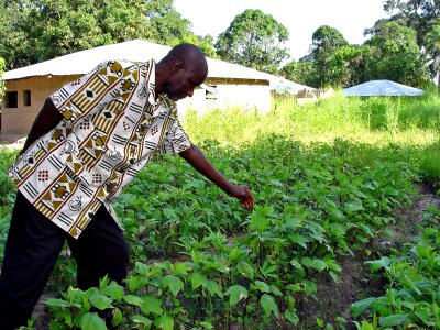 Garden healthy husband