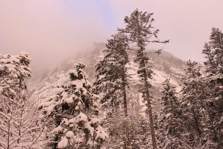 Snow nature outdoors photo