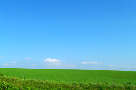 Grassy plain