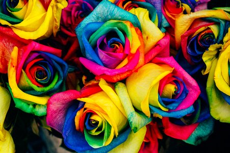 Colorful artificial flowers