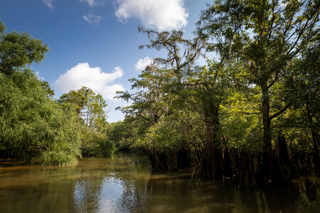 Choctawhatchee River-1