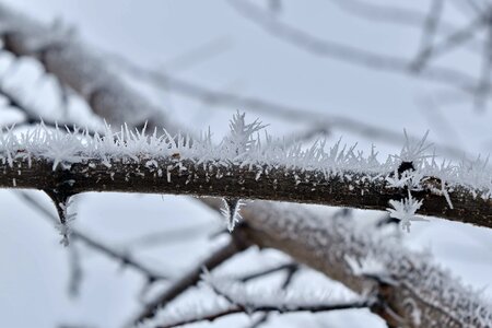 Foggy ice crystal snowflakes