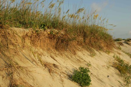 Beach Erosion domestic erosion photo