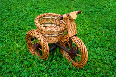 Grass green isolated