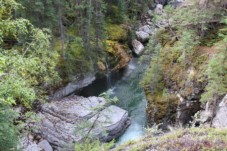 Parker Ridge Trail in the Canadian Rockies photo