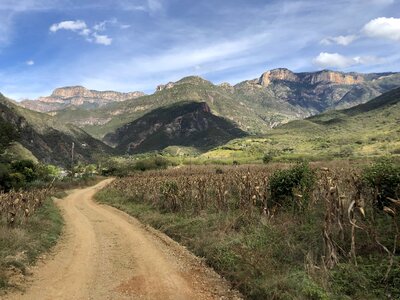 Asia cornfield dry season photo