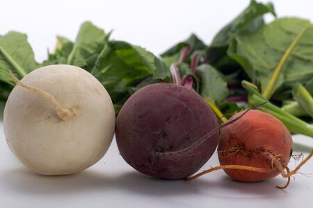Beetroot turnip rättich