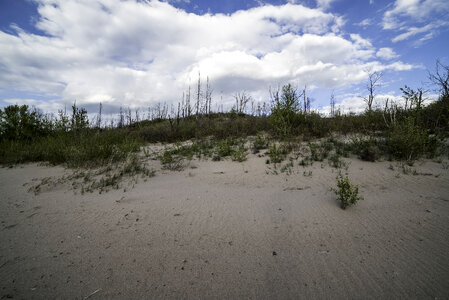 Clouds over the Sand dunes at Lesser Slave Lake Provincial Park photo