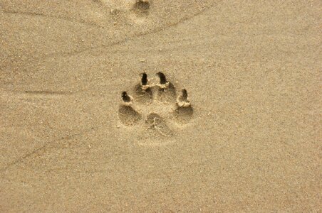 Footstep sand 