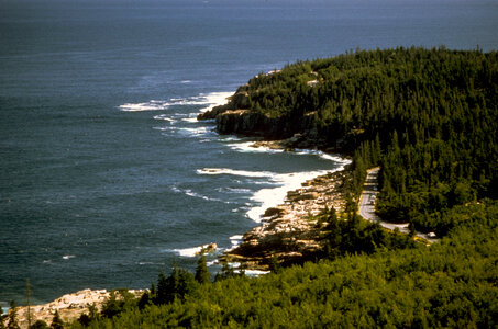 Shoreline Landscape at Acadia National Park, Maine photo