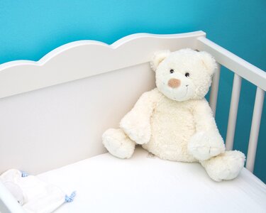 Baby teddy bear toy toy photo