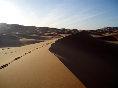 Dawn nature dunes