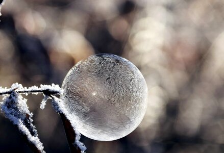 Detail frost ice