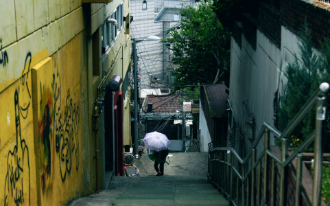 23 South korea