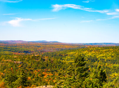 Autumn Trees with colorful trees in Sugarloaf Mountain photo