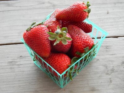 Strawberries organic fruit photo