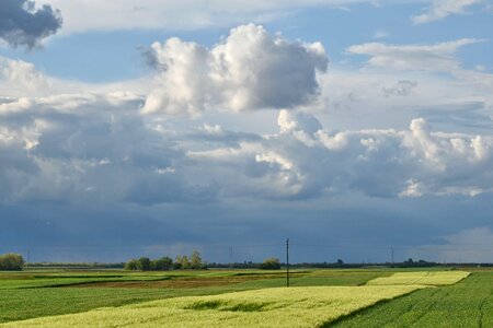 Agriculture wheatfield cloud photo