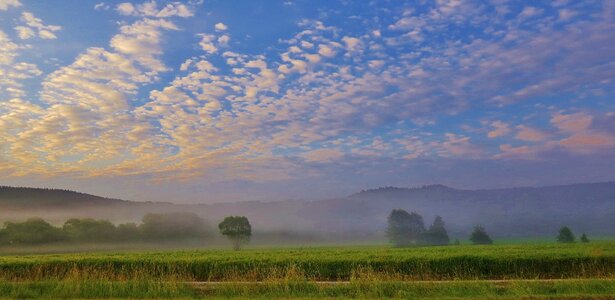 Germany nature morning mist