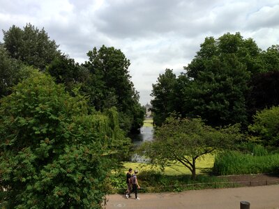 Park green trees