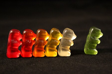 Colorful color gummi bear photo