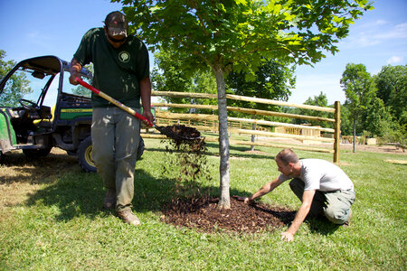 Construction of outdoor classroom-7