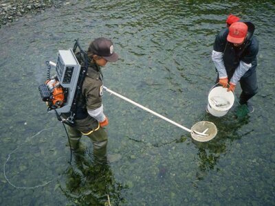 Backpack capture fish