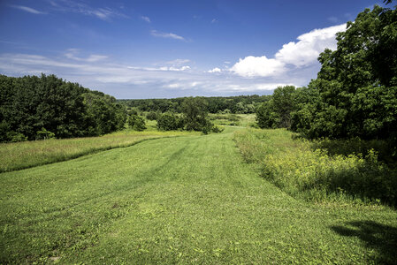 Scenic Landscape of grassy Trail at Camrock County Park