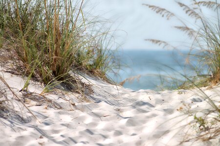 Summer summer sea nature