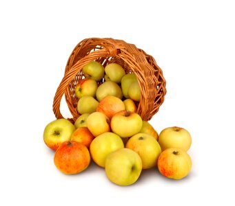 Basket Of Apples photo