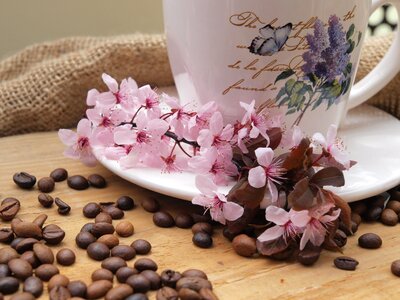 Teacup time for coffee flowers photo