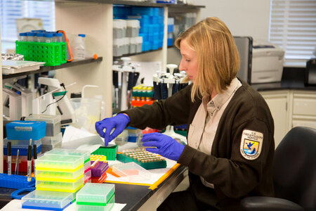 Geneticist at work in laboratory-1