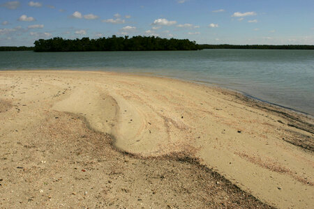 Seashells on the beach