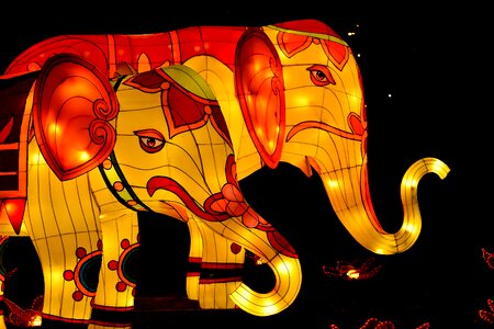Artwork colorful elephant
