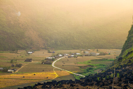 Green Rice fields in Vietnam photo