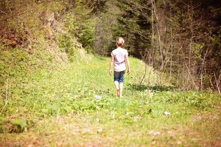 Away meadow nature photo