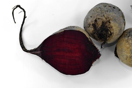 Beetroot half slice