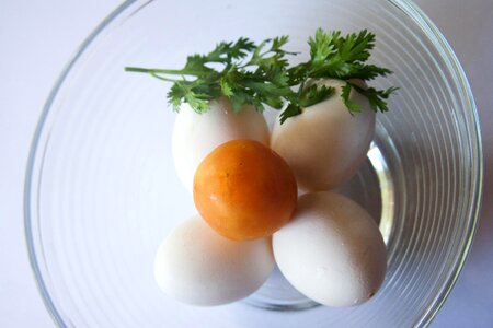 Beautiful Image beautiful photo breakfast