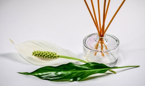 Aromatherapy bottle detail photo