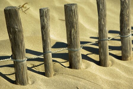 Dunes stakes sand