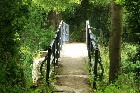 Trail path walk